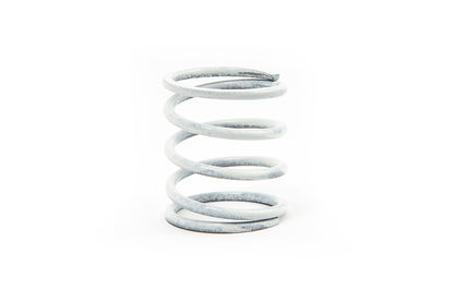 Dump Valve Spring (Single)