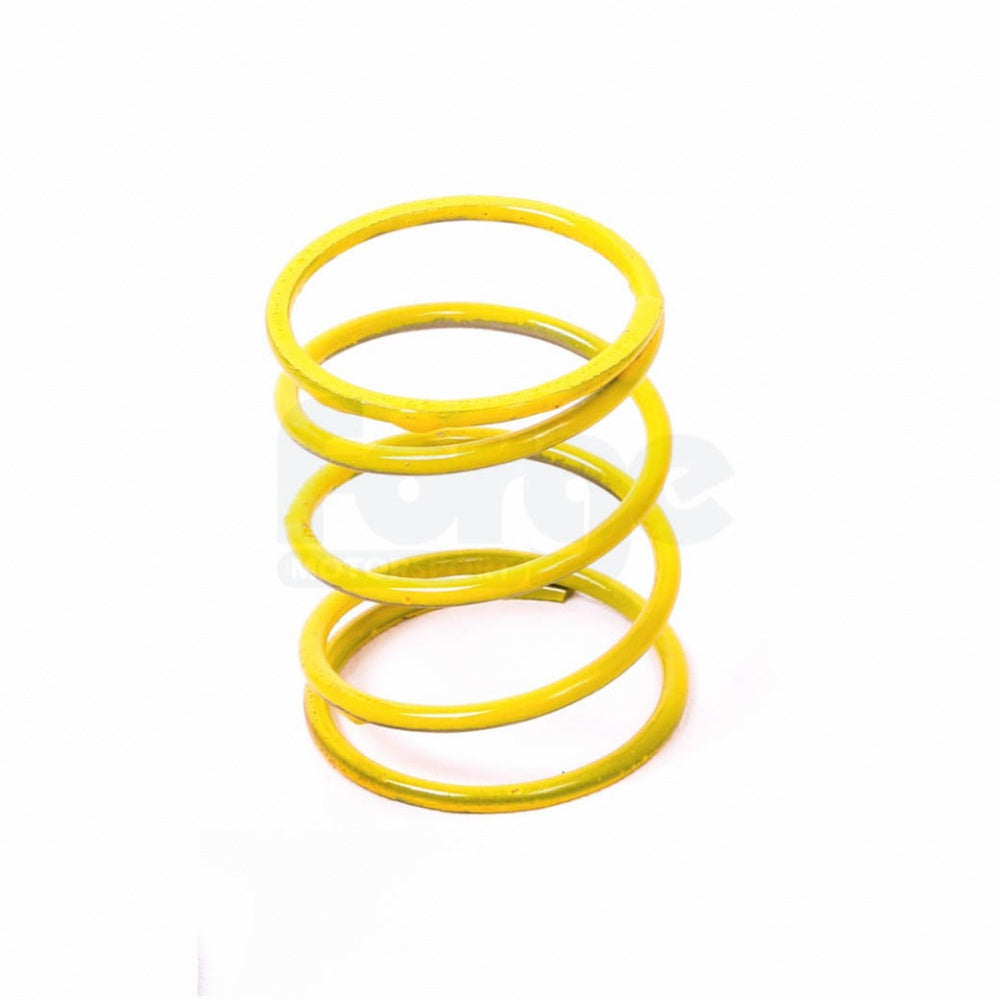 Dump Valve Spring (Single)