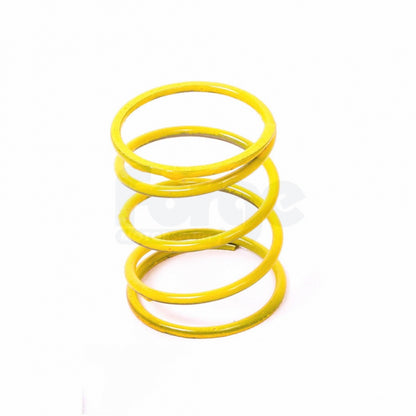 Dump Valve Spring (Single)