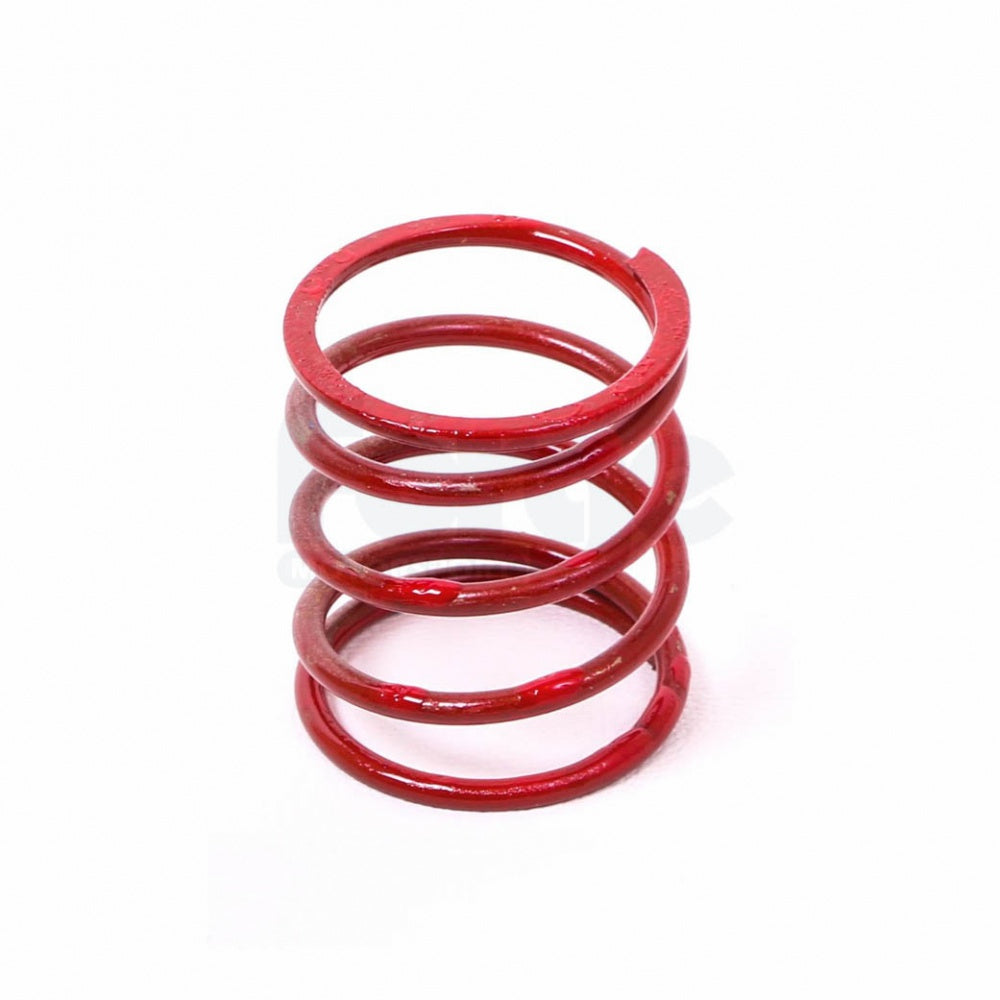 Dump Valve Spring (Single)