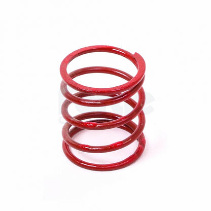 Dump Valve Spring (Single)